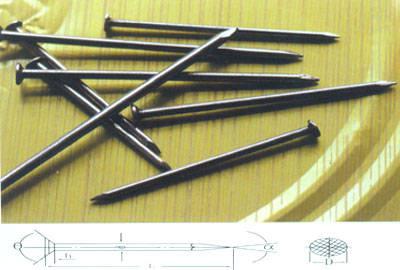 China Supply Common Round Nail,Iron Nails for sale