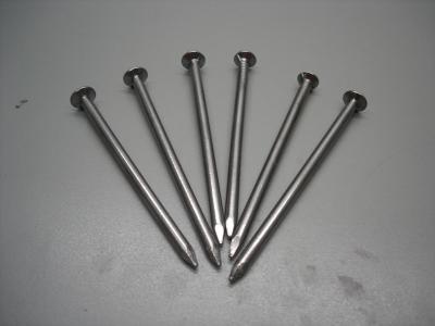 China Common nails(BWG19-BWG4) for sale