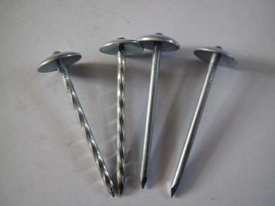 China twisted umbrella roofing nail used on roofing sheet for sale