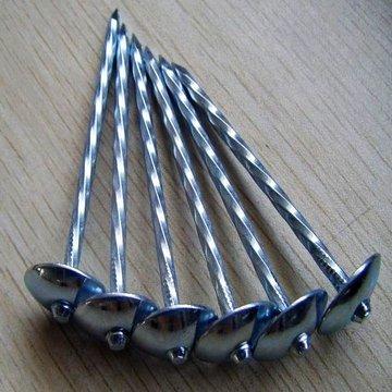 China Umbrealla roofing nails with twisted shank for sale