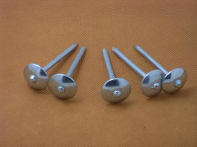 China Roofing nails with smooth/twisted shank for sale