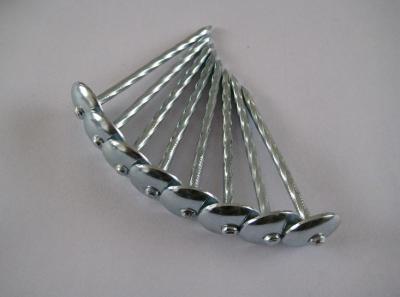 China BWG9X2.5" umbrella head roofing nails for sale