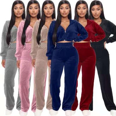 China High Quality Breathable Wholesale Women Clothing Hoodie Set Autumn Two-Piece Set Velvet Jogging Suit for sale