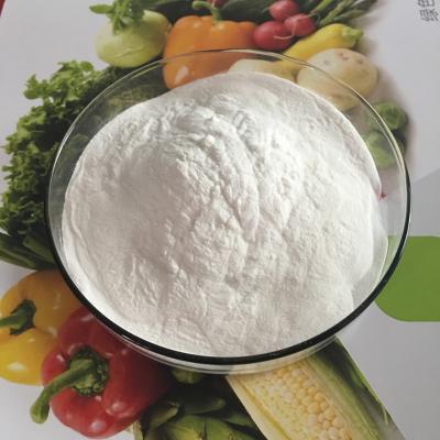 China 900g/cm2, 1000g/cm2 PoAgar Agar wder For Sale CAS 9002-18-0 Buy agar xanthan gum food additive food thickener powder for sale