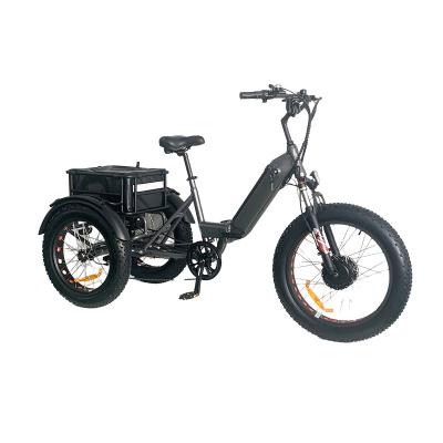 China New Desig 750w Aluminum Motor Manufacturer Fat Tire 3 Wheel E Bike Tricycle for sale