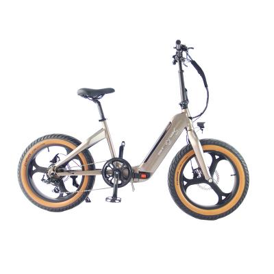 China Best Selling Fat Tire Aluminum Alloy Detachable Tire Folding Electric Bike for sale