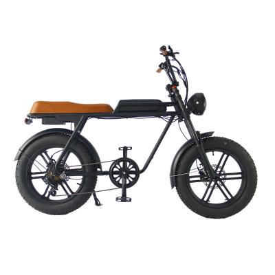 China Aluminum Alloy Morden Style 20inch Snow Beach Mountain Fat Tires E-Bike For Adult for sale