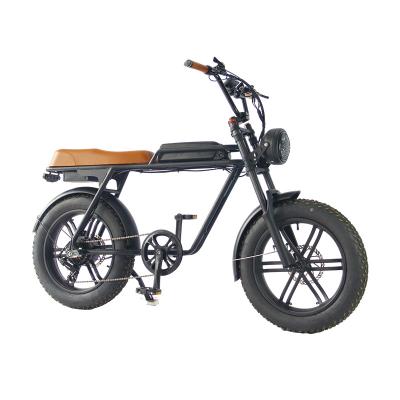 China Manufacturer New Desig Aluminum Alloy 20 Inch Removeable Battery Beach Adult E-Bike for sale