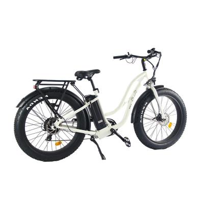 China Aluminum alloy design popular light city aluminum electric bicycle with snow tire for sale