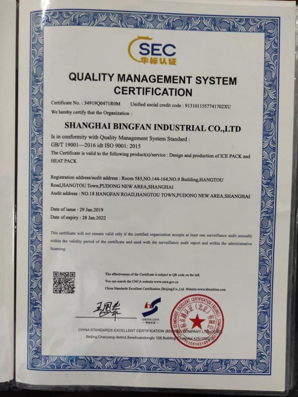 ISO9001 - Shanghai Bingfan Industrial Co., Ltd.