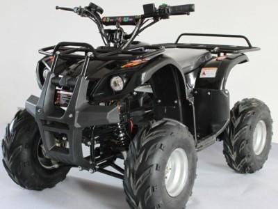 China 500w/800w/1000w Electric ATV for sale