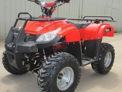 China 500w/800w/1000w Electric Quad Bike for sale