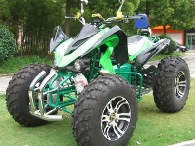 China New Design 1000w/1500w High Power Electric ATV for sale