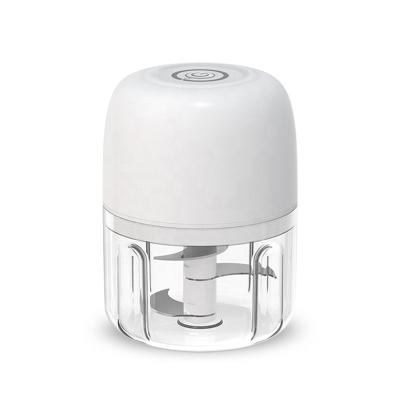 China Hot Selling RV Big Buttons Picosecond Cup 250mL 30W Multifunctional Electric Food Processor For Kitchen for sale