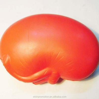 China Promotional Toy Kidney Stress Ball for sale