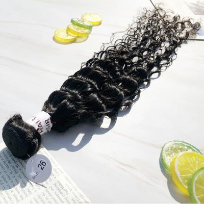 China Factory Outlet Brazilian Water Wave Human Hair Extensions Water Wave Bundles Silky No Tangle No Shedding For Sexy Lady for sale