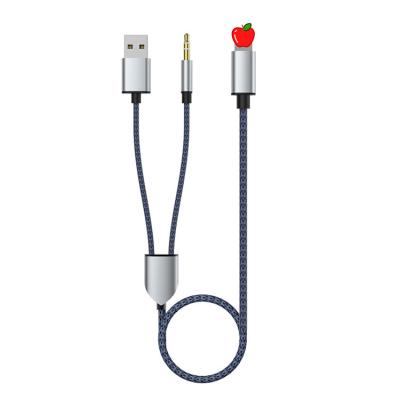 China Mobile Phone 2 in 1 Audio Charging Cable for iPhone ning Light to 3.5mm Audio Cable for Car Stereo Speaker Earphone Support iPhone for sale