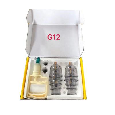 China New Blood Circulation Item Chinese Traditional Therapy Vacuum Cupping 12 Sets With ABS Pump for sale