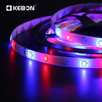 China Red+Green+Blue (Chip Single Color Light Bead Single) Most Popular Products Outdoor Fashion Smd 2835 Ip20 5m/roll 12V RGB Led Strip Lights for sale