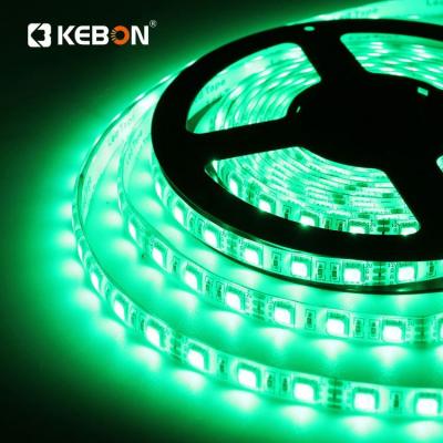 China Decoration lighting Zhongshan factory ip67 waterproof 5050 SMD 5m roll 60leds 12V RGB LED strip for sale