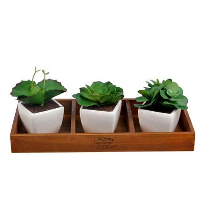 China Natural Handmade Indoor Outdoor Planter Plant Pot Modern Wooden Flower Pots Planter and Flower Pot Gift Wooden Box for sale