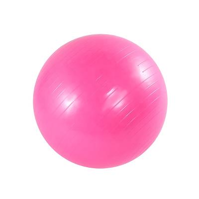 China Bodybuilding Custom Sized Anti Burst Balance Exercise Ball With Hand Pump PVC GYM Yoga Ball for sale