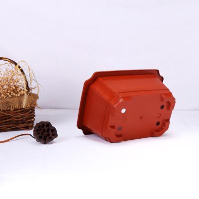 China Minimalist Wholesale Vegetable Planting Pots Square Plastic Terracotta Bonsai Pot for sale