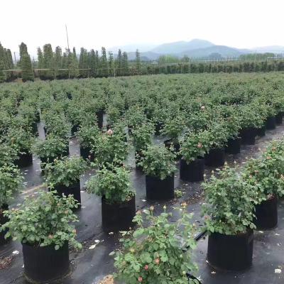 China Plant Growth Garden Outdoor Big Large Non Woven Vertical Flower Pot Planter Greenhouse Grow Bags for sale