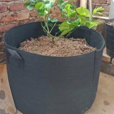 China Plant Growth Wholesale Indoor Outdoor Cheap Outdoor Gardening Rattan Flower Pot Planter Non Woven Fabric Grow Bags for sale