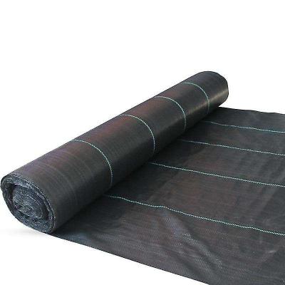 China Black green or customized Insulation and Mmoisturizing Agricultural Mulch PP Mat Crop Protection PE Film for sale