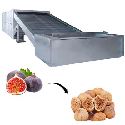 China Medicine Processing Oven Dried Fig Dehydrator Mesh Belt Dryer Equipment Hot Air Fig Drying Machine Fruit Dryer for sale