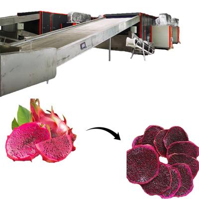 China Medicine Processing 304 Stainless Steel Dragon Fruits Hot Air Dryer Spray Tubing Pitaya Drying Machine for sale