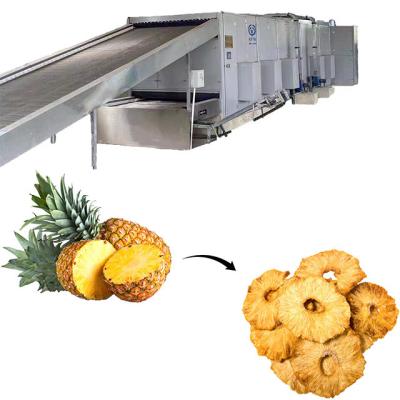 China Medicine Curing High Capacity Hot Air Heat Efficiency Drying Equipment Pineapple Dryer Machine for sale