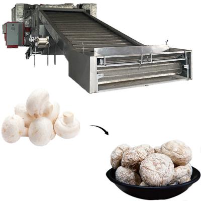 China Medicine Processing Fully-automated Continuous Dehydrator Mushroom Dryer For Vegetables Drying Machine for sale