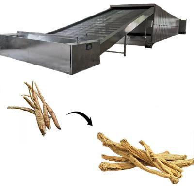 China Medicine Curing New Design Hot Air Mesh Belt Dryer For Chinese Angelica Herbs Drying Machine for sale