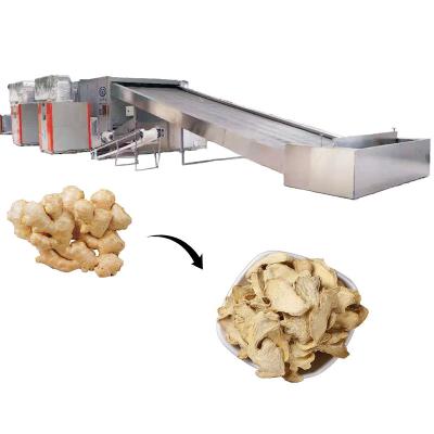 China I-shaped Ginger Dehydrate Continuous Feeding Mesh Automatic Belt Hose Air Feed Large Face Multi Layer Dryer Machine for sale