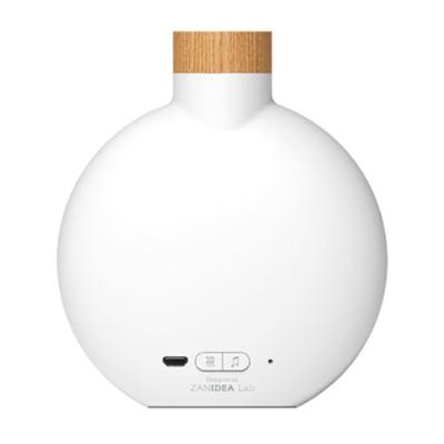 China 2020 New Arrival Hotel Car Glass Home Portable Humidifier Ultrasonic Therapy Diffuser With Speaker Function for sale