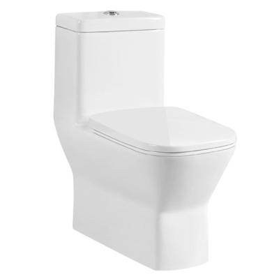 China New Popular Modern Stylish Double-flow Design White Washdown One Piece Toilet Bathroom Toilet for sale