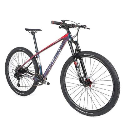 China Hot Dirt Jump Sale Wholesale TWITTER Storm2.0 SRAM SX EAGLE-12S Carbon Fiber Mountain Bike Adult Bicycle for sale