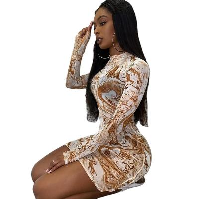 China New Viable Women Round Neck Long Sleeve Sheer Mesh Printing Slim Women's Dress for sale