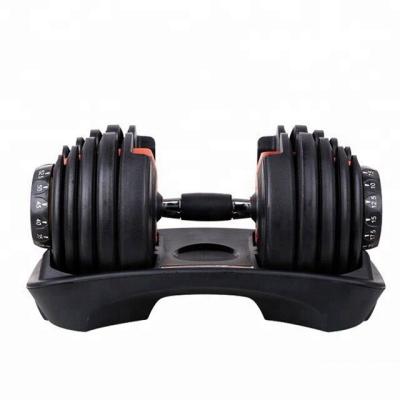 China Can Fit Adjustable Gym Fitness Dumbbell And Dumbbell Weight Set for sale