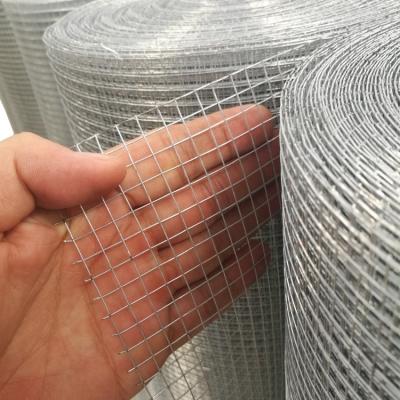 China Construction Wire Mesh Hot Dipped Galvanized Hardware Cloth / Galvanized Welded Wire Mesh With Competitive Price for sale