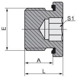 China BSPT Male Connection Hydraulic Tube Fitting with Captive Seal Hollow Hex Plug 4bn-Wd for sale