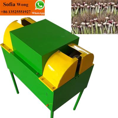 China Hot Selling High Efficiency Garlic Onion Root Cutting Machine Garlic Onion Stem and Root Cutter for sale