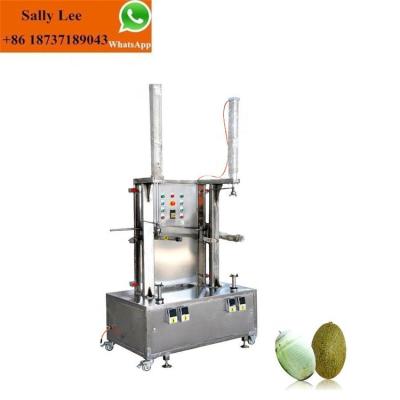 China food & Beverage Plant Papaya Peeling Machine/Pumpkin Peeling Machine/Watermelon Peeler for sale