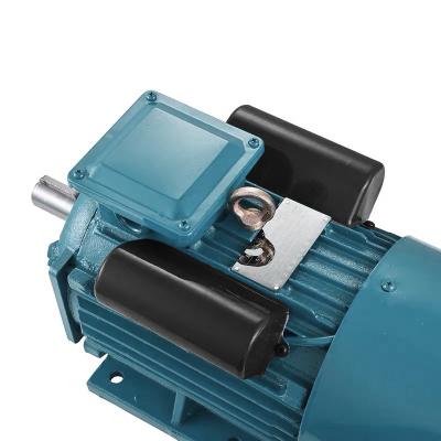 China Yl100L1-2 Small Electric Motor Two Powerful Value Capacitor Totally Enclosed Mono Phase Asynchronous for sale