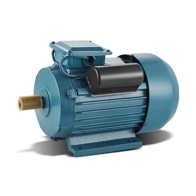 China Yl7124 Small Powerful Electric Motor Two Value Capacitor Mono Phase Asynchronous Motor Totally Enclosed Industrial Motor for sale