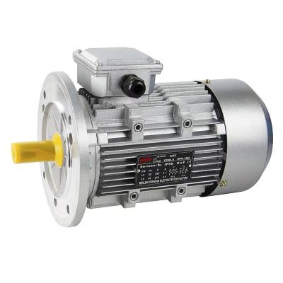 China Y2 Series Totally Enclosed Aluminum Three Phase Asynchronous Motor 380v AC Electric Induction Motor for sale