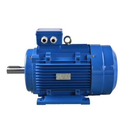 China Hot Selling Product Totally Enclosed 0.25KW 3 Phase Asynchronous AC Motor for sale