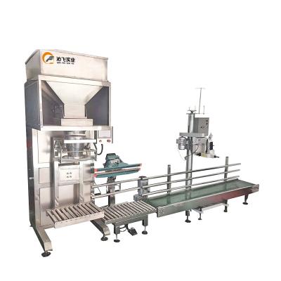 China Hot Sale Food Stainless Steel 5kg 10kg 25kg 50kg Rice Packing Machine for sale